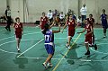 IMG_3951pallacanestro Roma